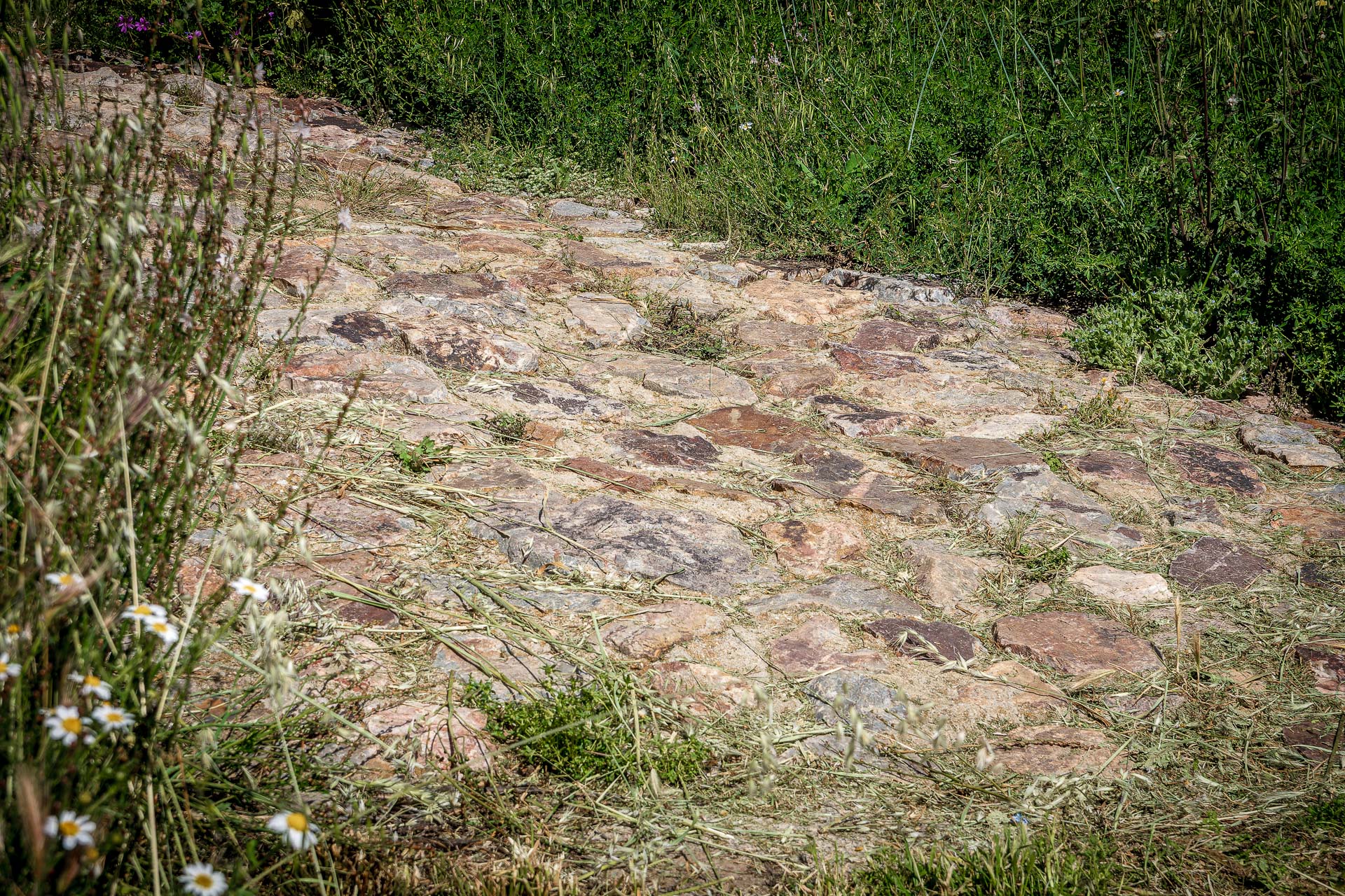 Castillo de Mora 2025 - 014