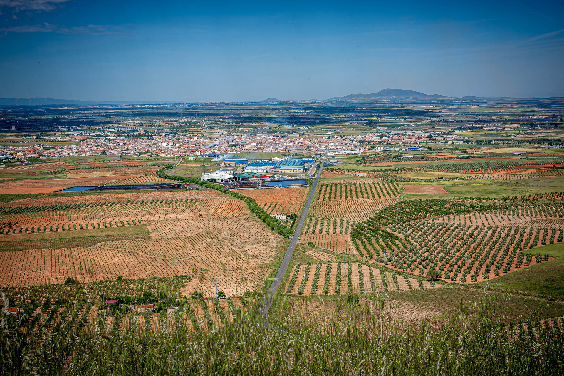 Castillo de Mora 2025 - 015