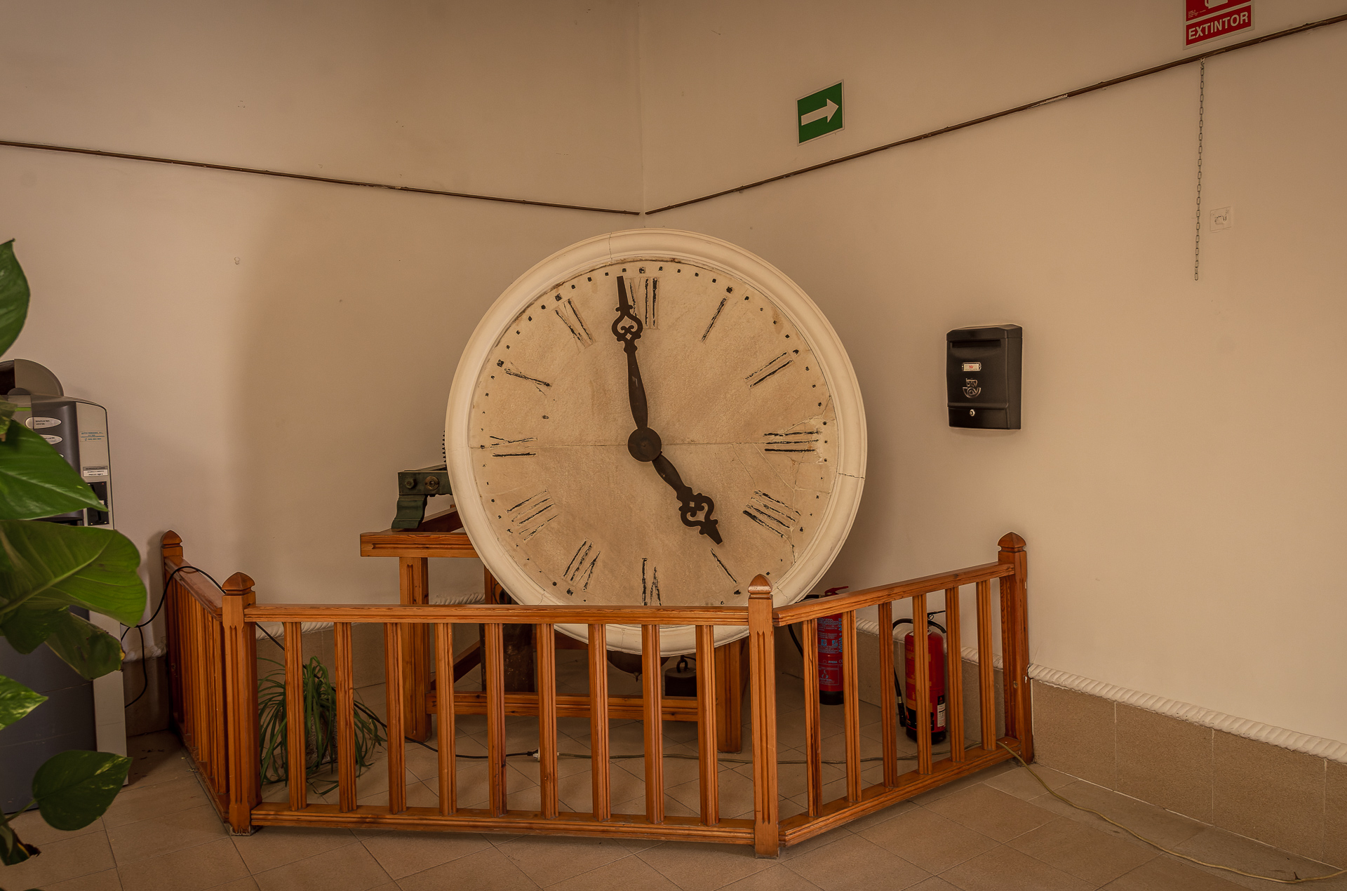 Castillo de Mora 2025 - 079