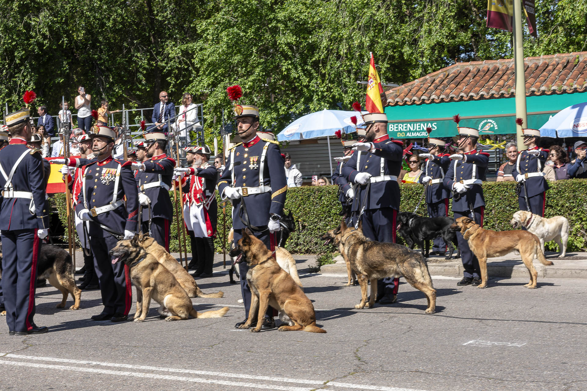 Jura de Bandera - Toledo 2025 - 015