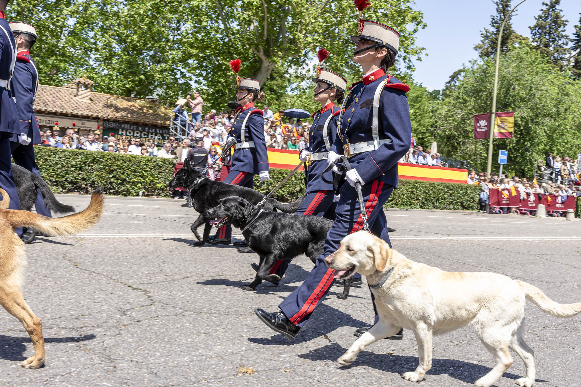 Jura de Bandera - Toledo 2025 - 109