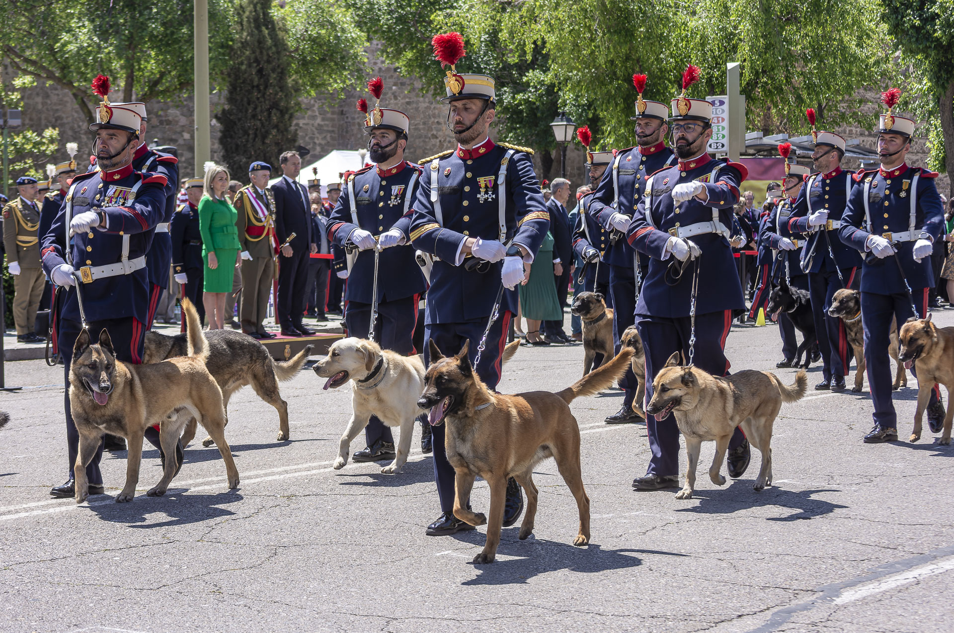 Jura de Bandera - Toledo 2025 - 139