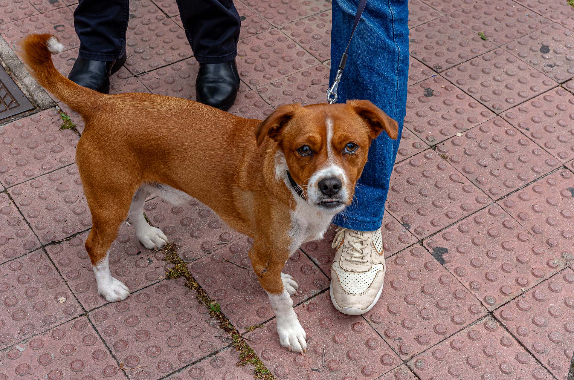 Primero de Mayo – 2025 2025 – 042