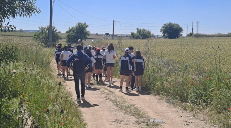 Alumnos de Illescas medioambiente 1