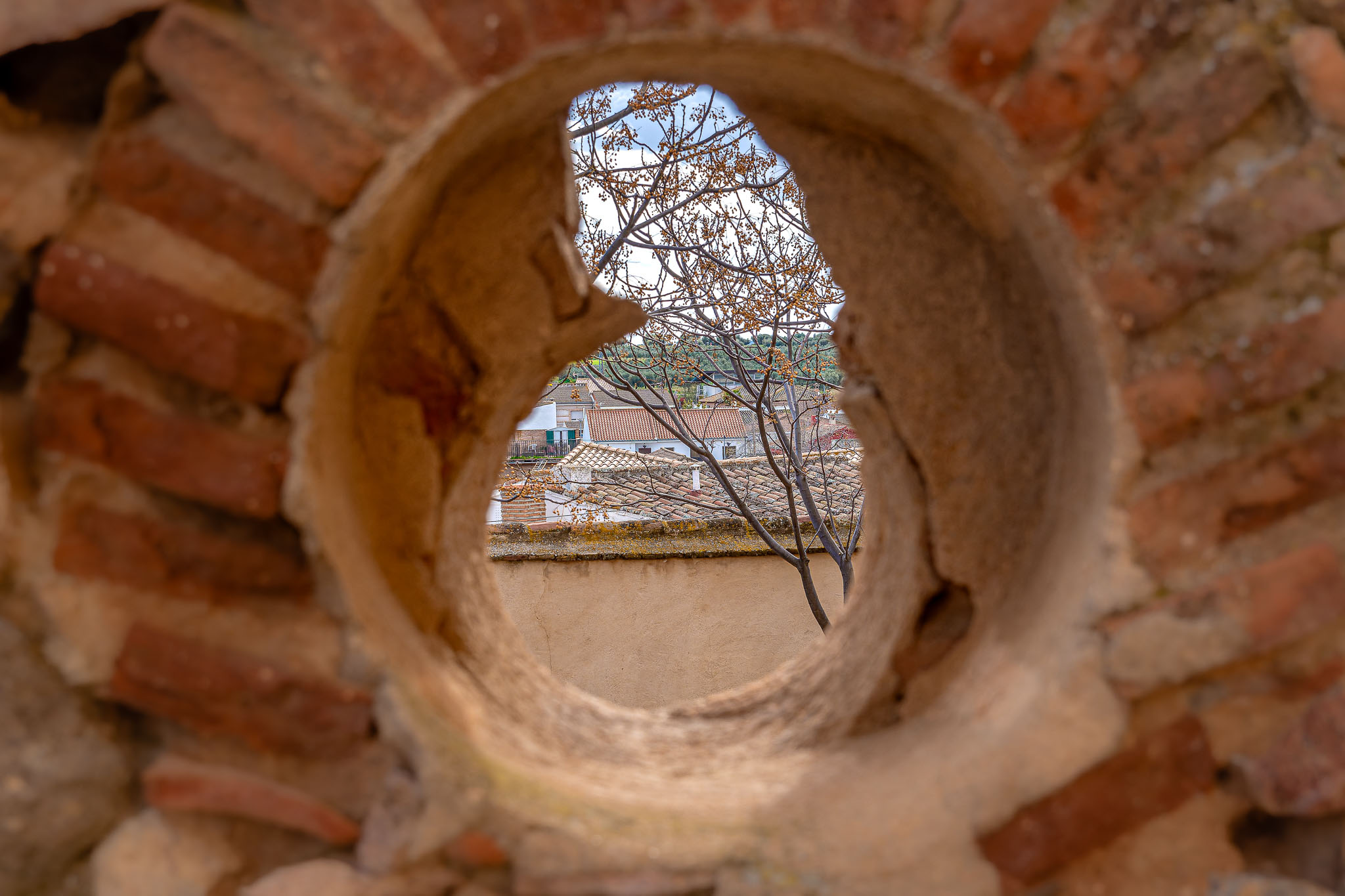 Castillo de Guadamur 2025 - 027