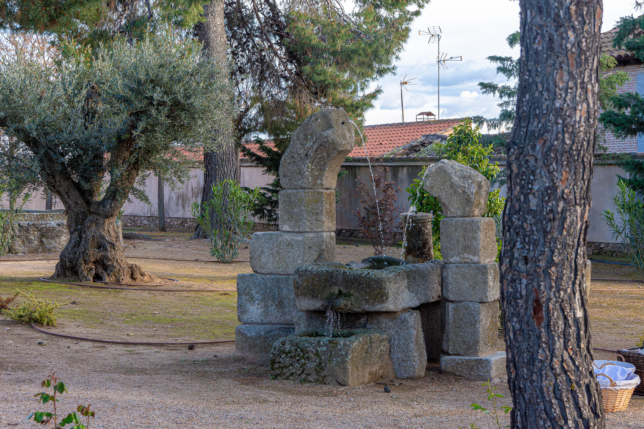 Castillo de Guadamur 2025 - 065