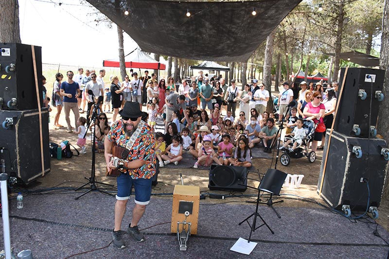 Festival Villavibes (11)