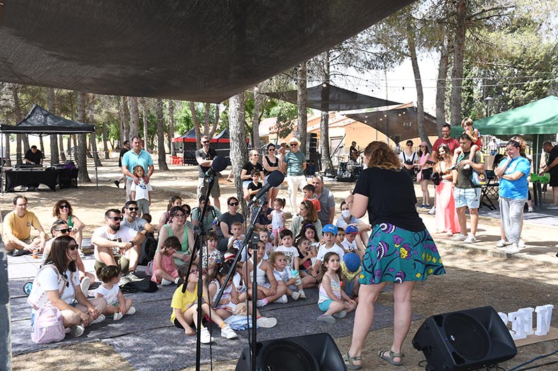 Festival Villavibes (113)