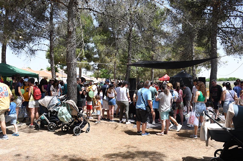 Festival Villavibes (12)