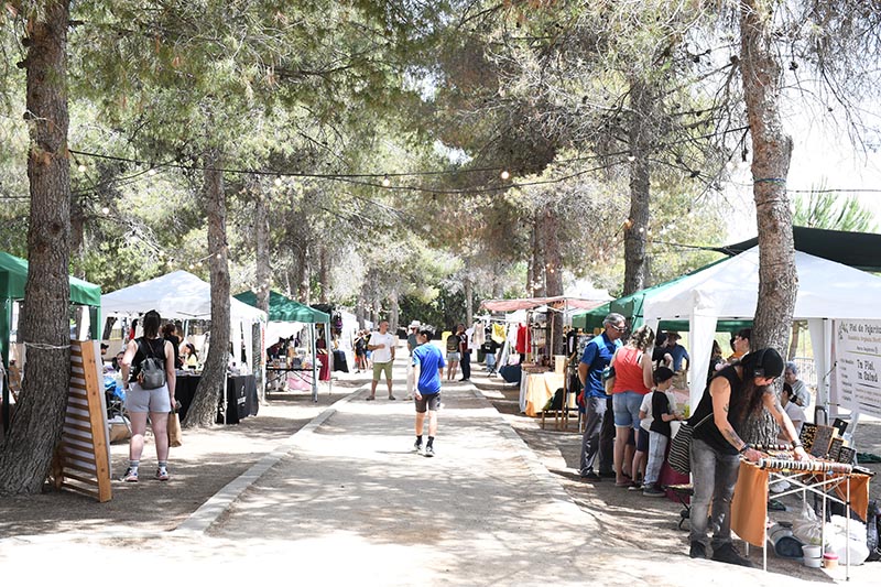 Festival Villavibes (13)