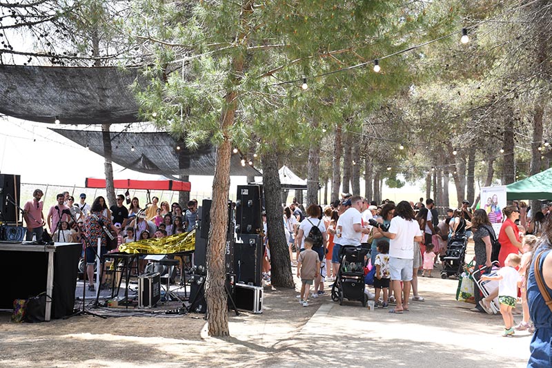 Festival Villavibes (15)