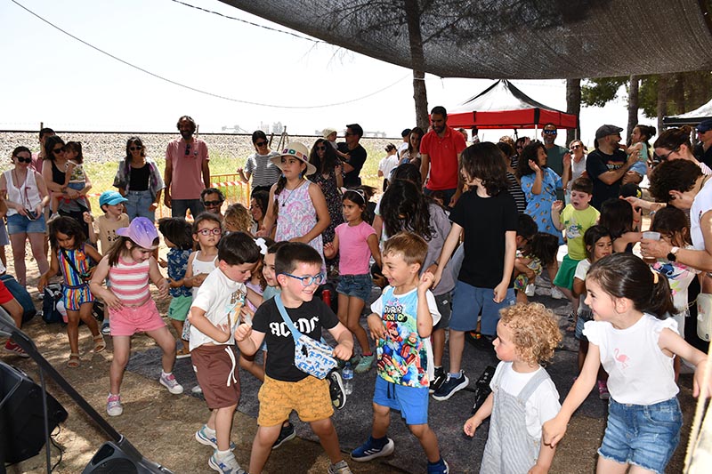 Festival Villavibes (16)