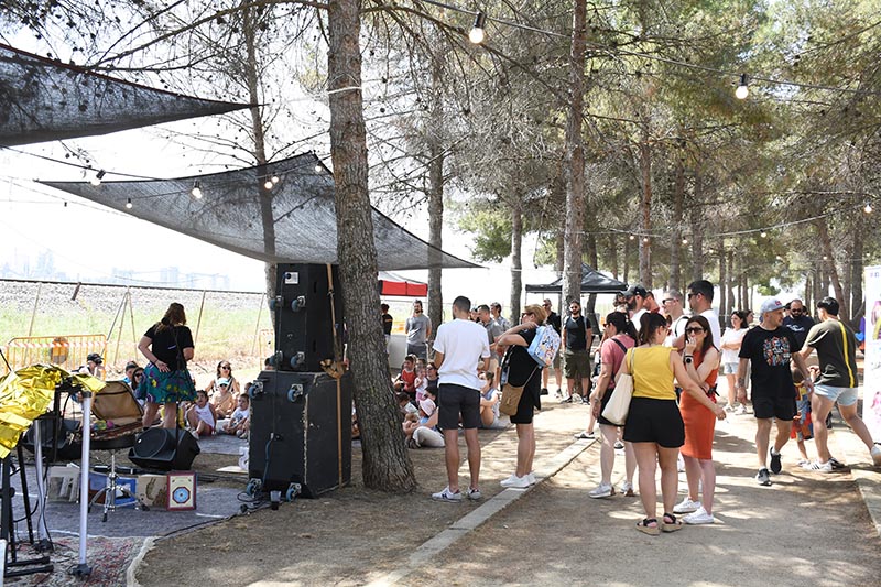 Festival Villavibes (2)