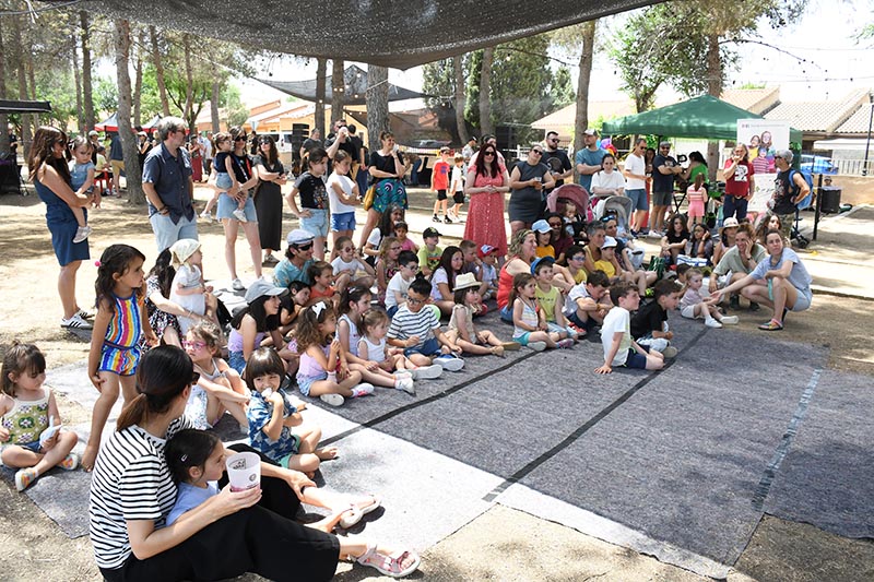 Festival Villavibes (24)