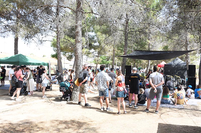 Festival Villavibes (3)