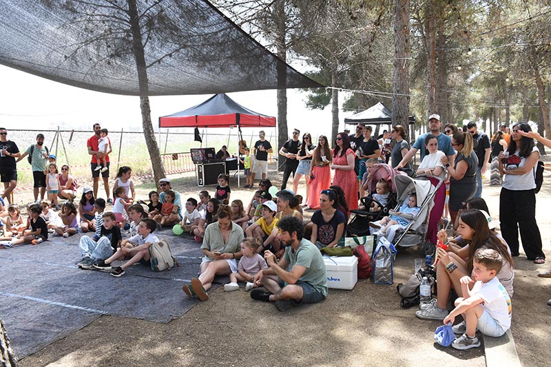 Festival Villavibes (36)