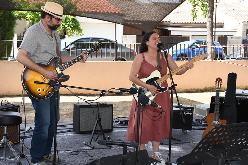 Festival Villavibes (40)