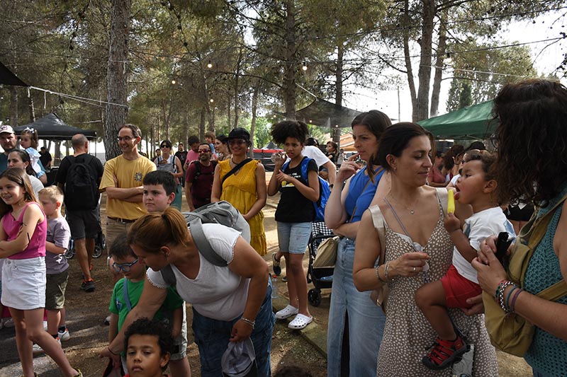 Festival Villavibes (62)