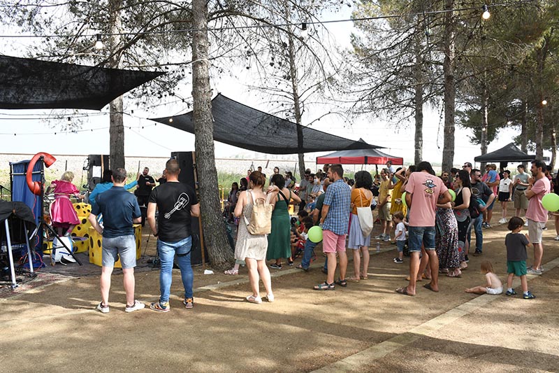 Festival Villavibes (67)