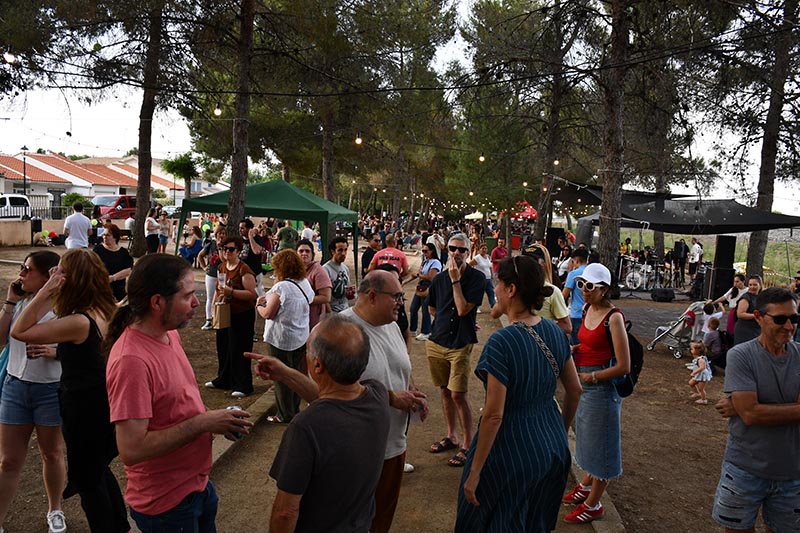 Festival Villavibes (68)