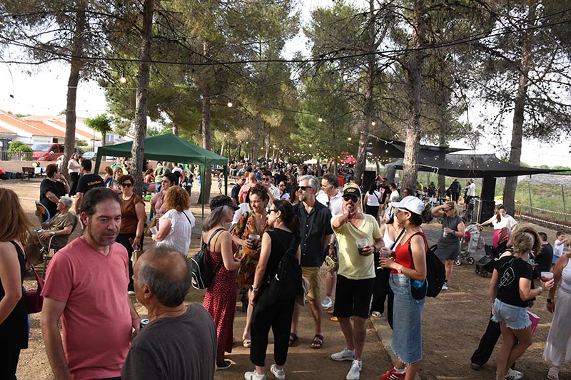 Festival Villavibes (69)