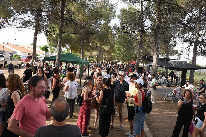 Festival Villavibes (70)