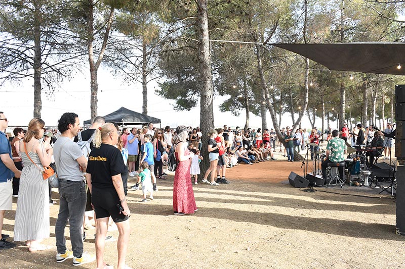 Festival Villavibes (81)