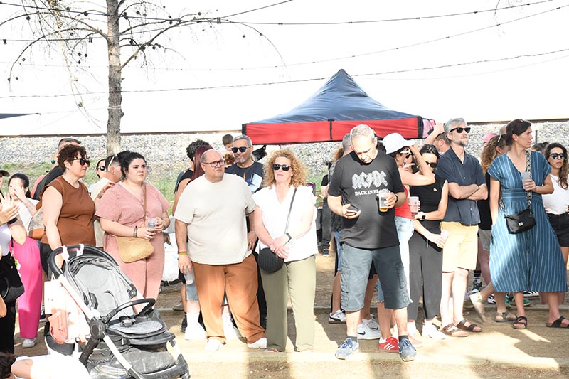 Festival Villavibes (82)