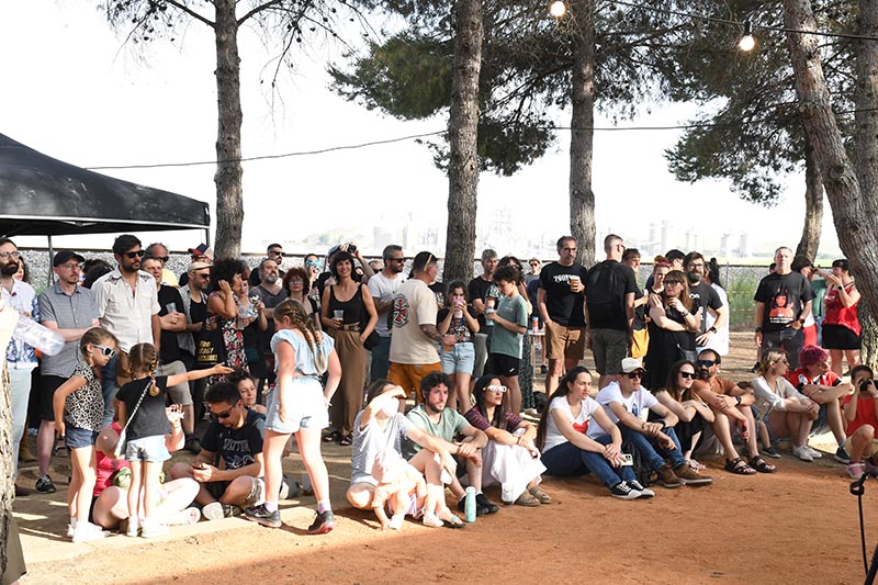 Festival Villavibes (83)