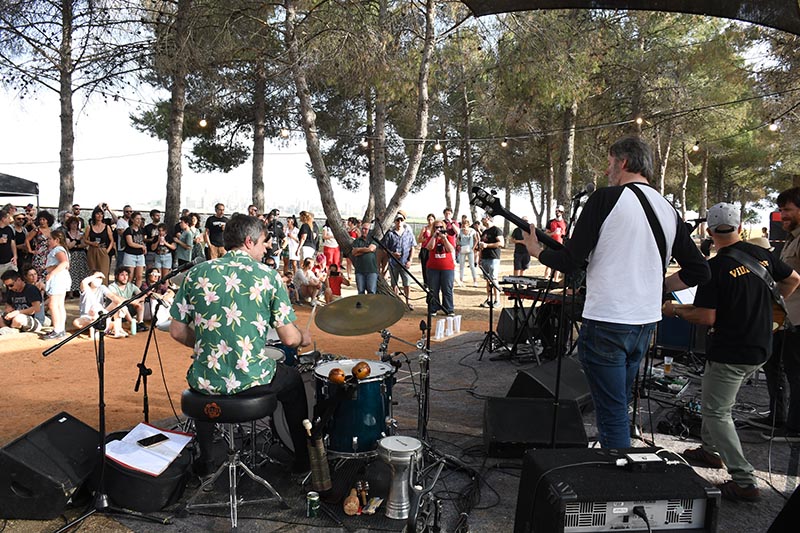 Festival Villavibes (84)