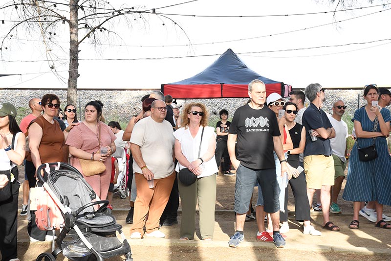 Festival Villavibes (85)