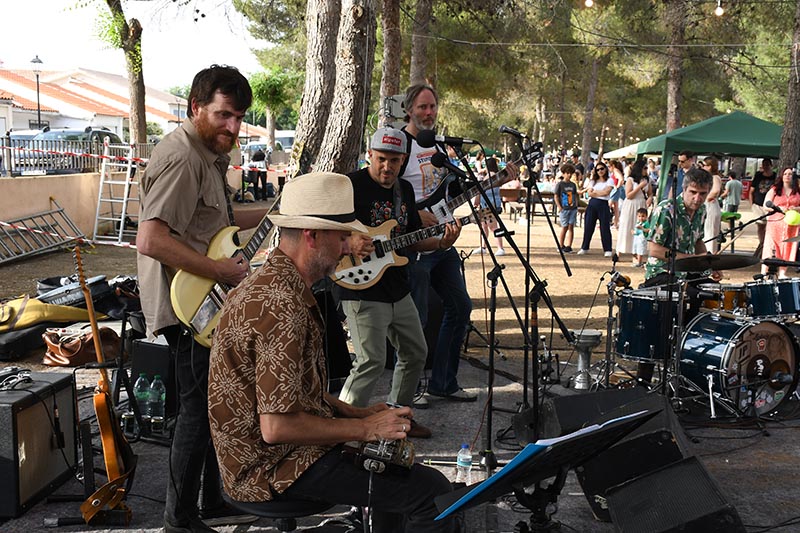 Festival Villavibes (88)