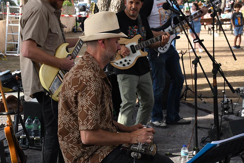 Festival Villavibes (89)