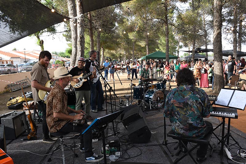 Festival Villavibes (90)