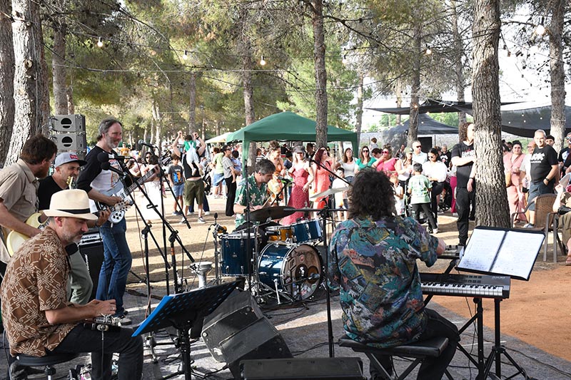 Festival Villavibes (96)