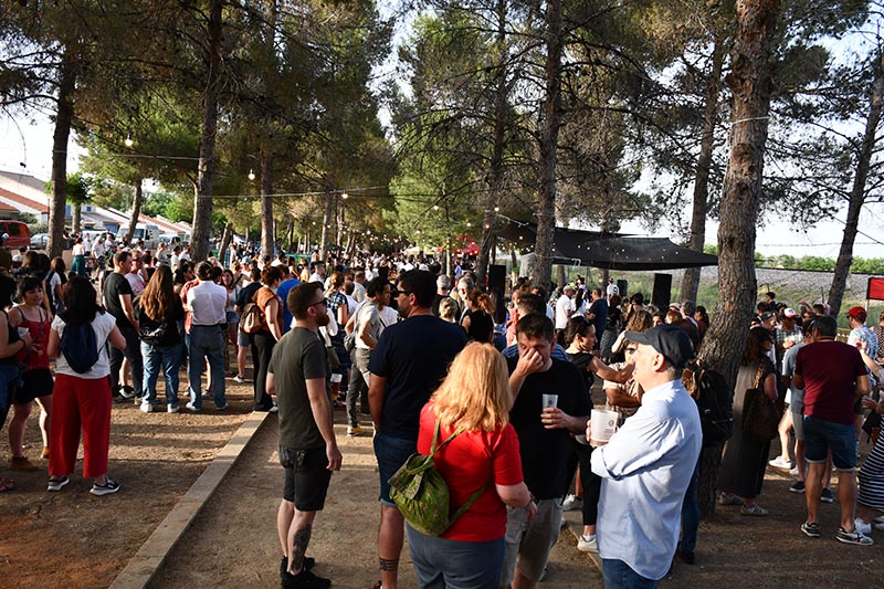 Festival Villavibes (98)