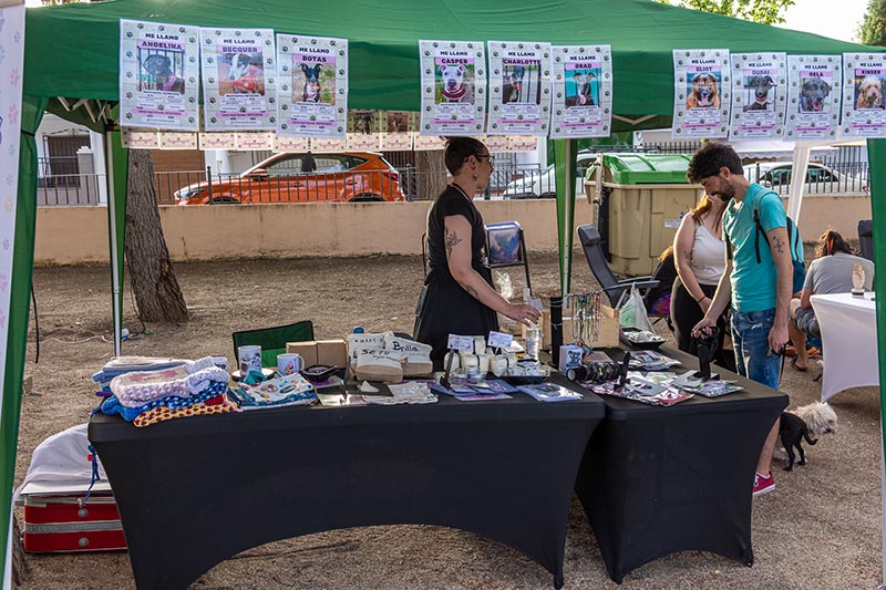 Puestos artesanos – Villavibes 2025 – 014