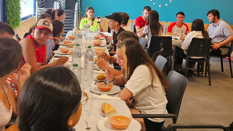 Intercambio juvenil
