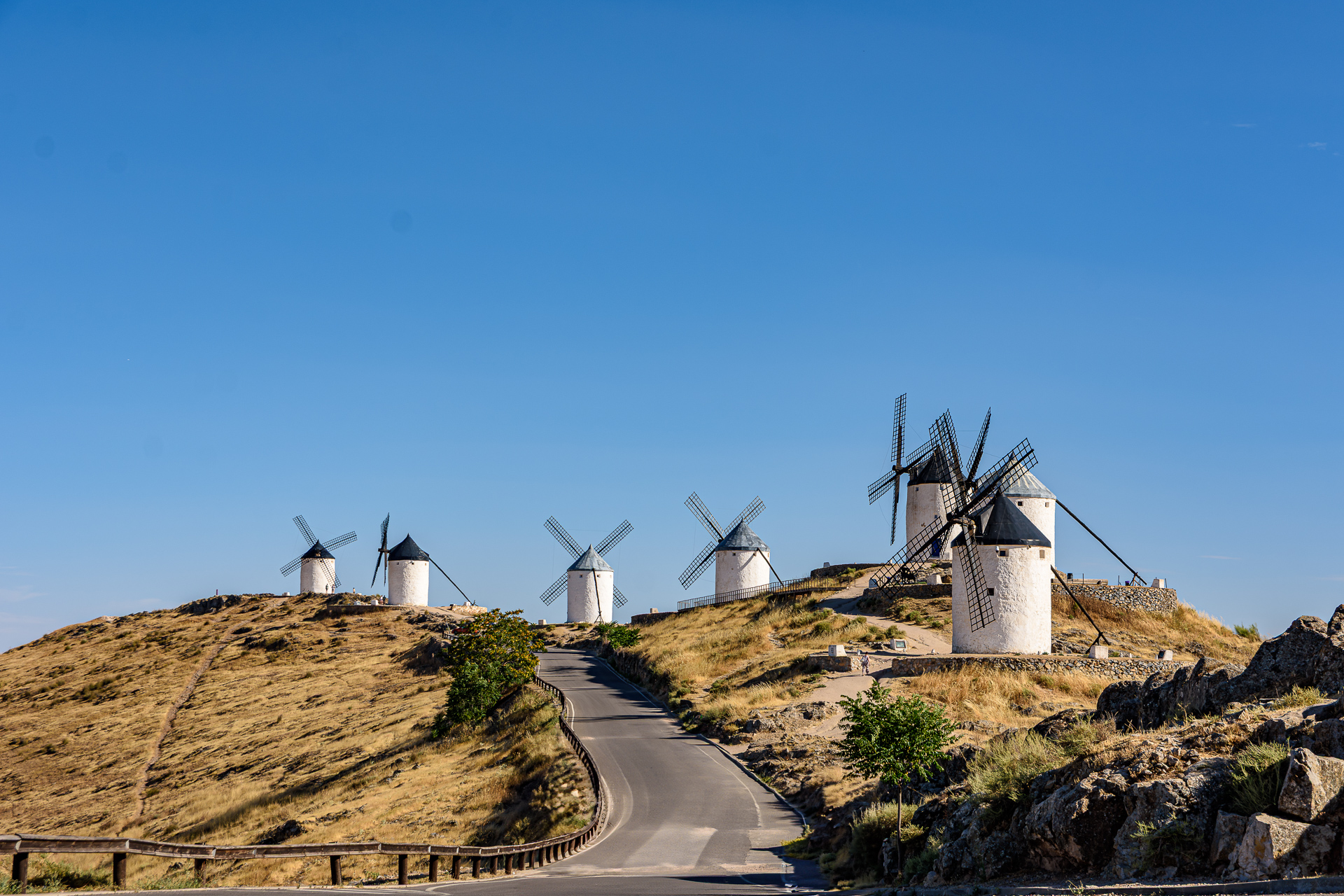 Visita Consuegra 2025 – 029