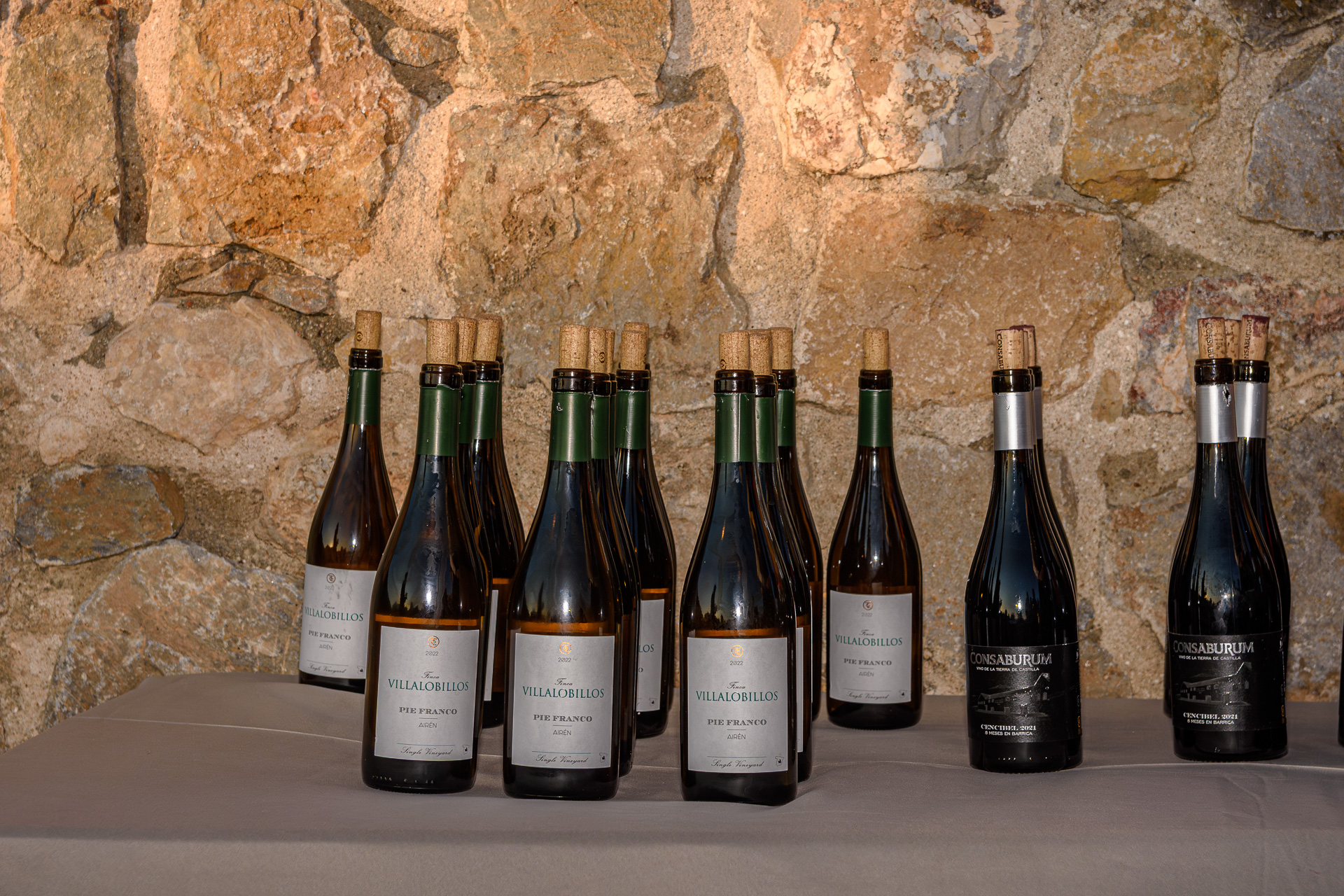 Visita Consuegra 2025 – 085