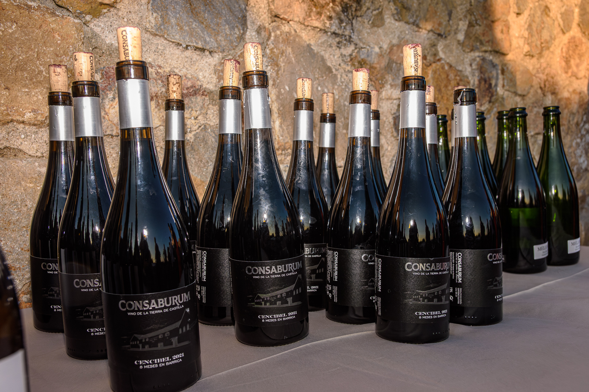 Visita Consuegra 2025 – 086