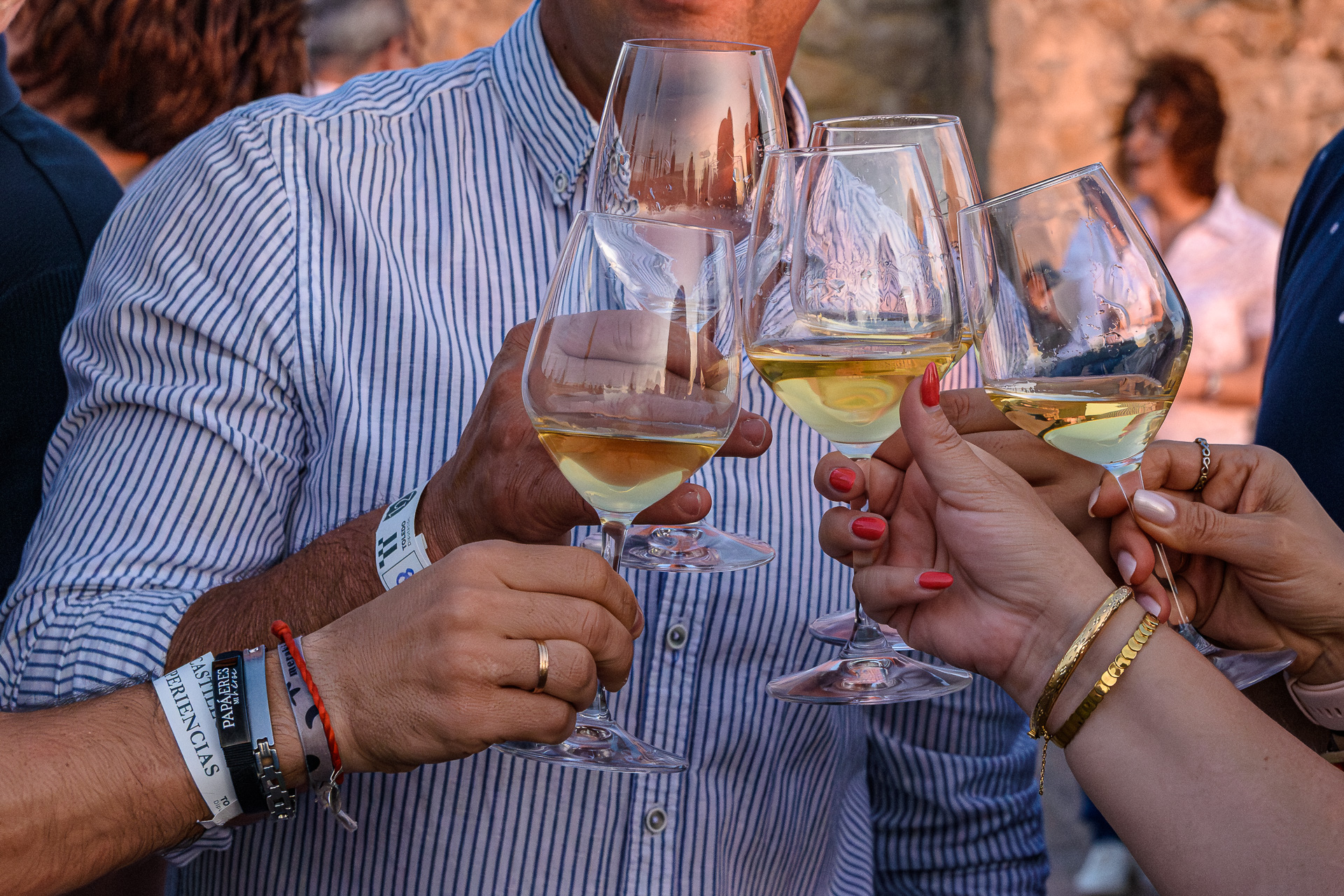 Visita Consuegra 2025 – 093