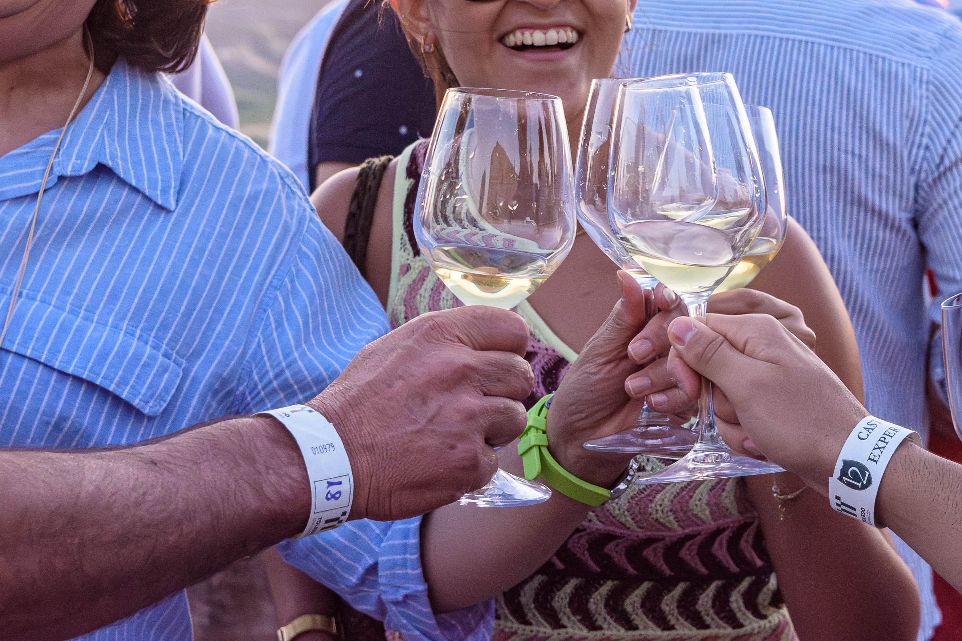 Visita Consuegra 2025 – 094