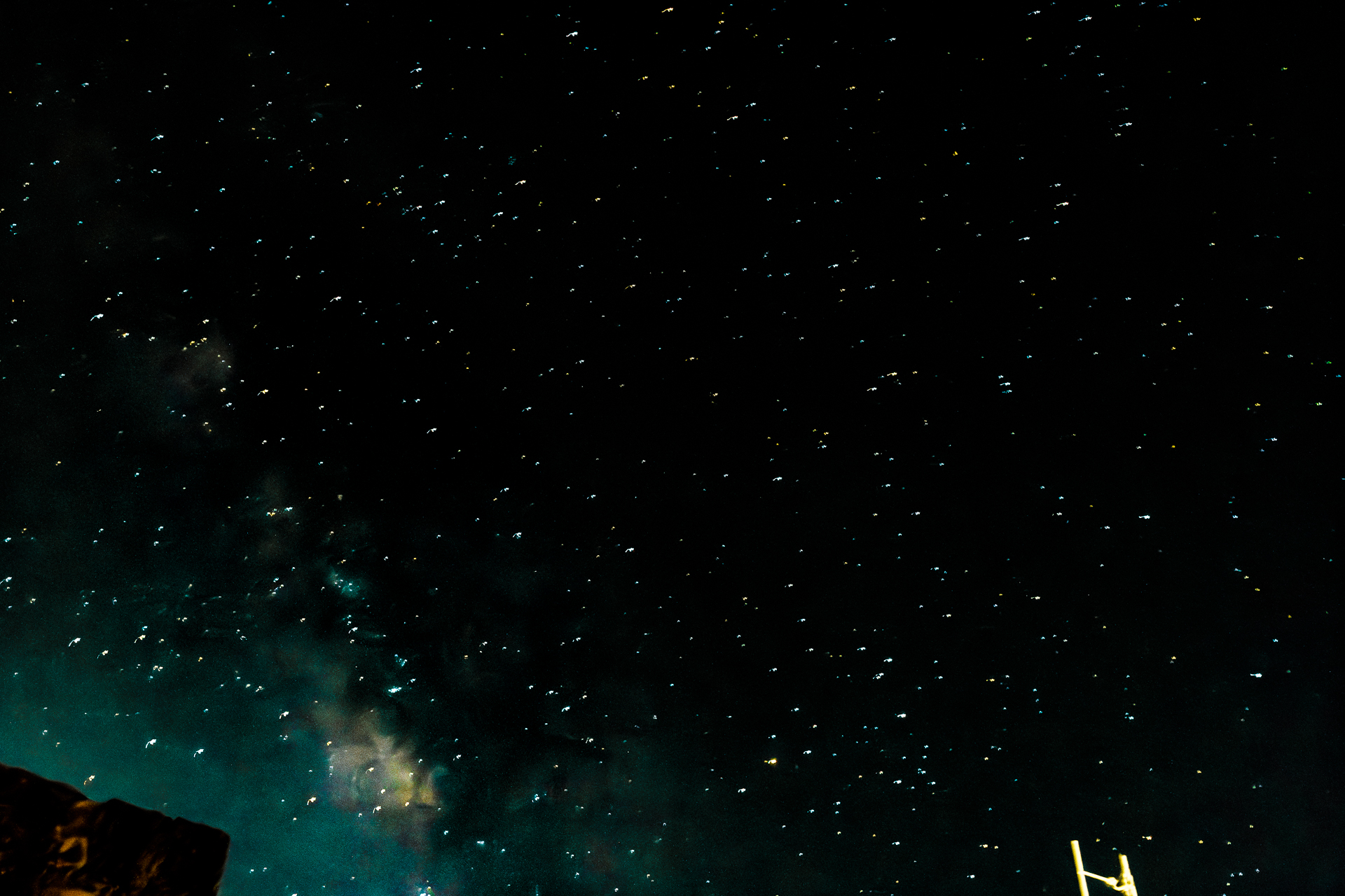 Visita Consuegra 2025 – 116