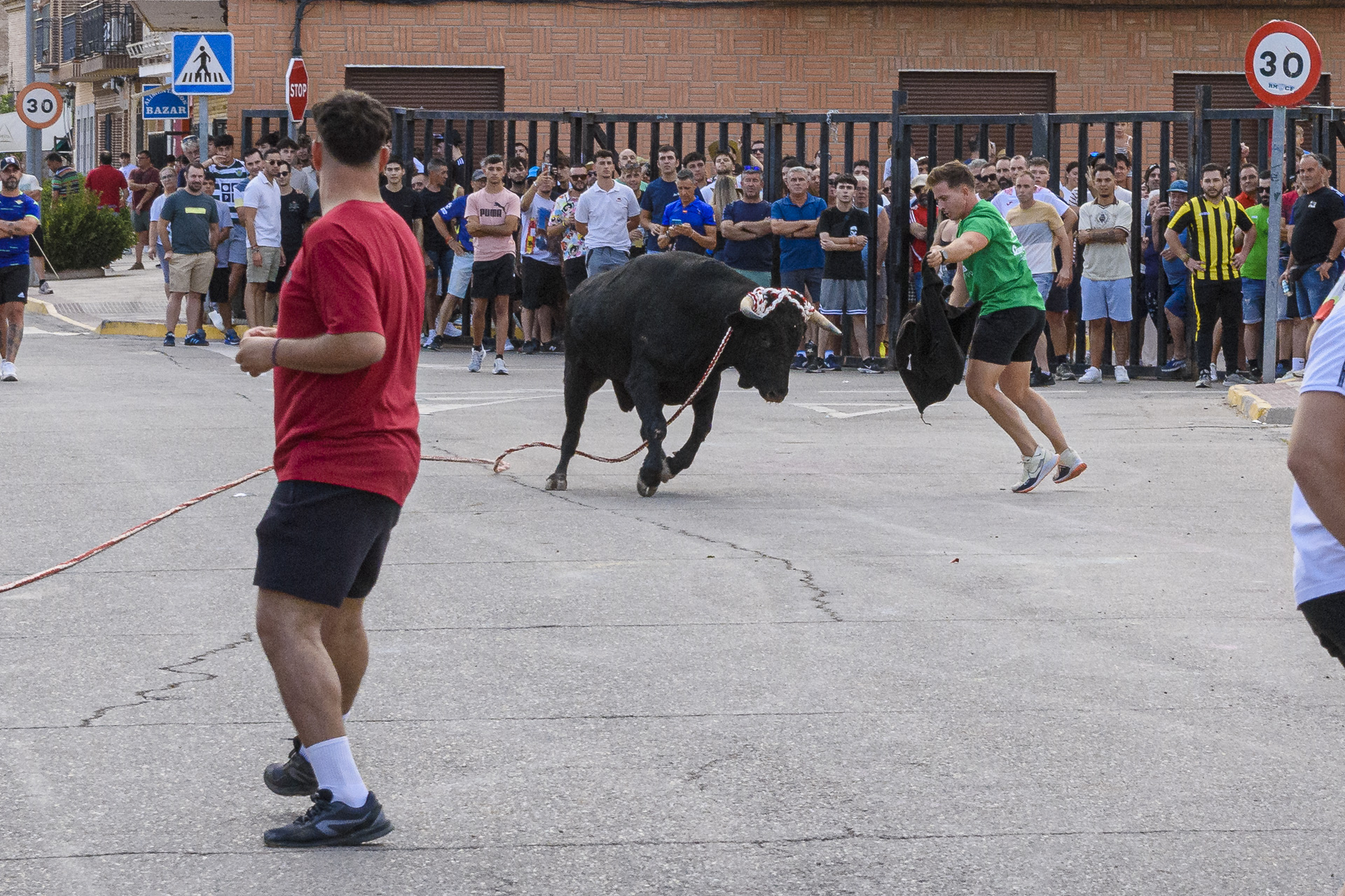 Reinas – toro y charanga 2025 – 058