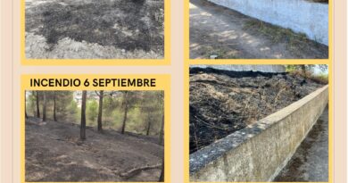 Esquivias refuerza la vigilancia tras registrarse tres incendios en el cerro de Santa Bárbara