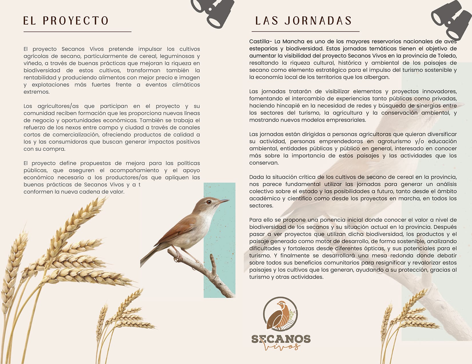 Imagen de WhatsApp 2025-10-22 a las 20.54.36_adab02cb