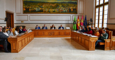 Diputación aprueba el refuerzo del presupuesto del Consorcio de Incendios Pleno de la Diputación de Toledo durante la votación para el refuerzo del presupuesto del Consorcio de Incendios.