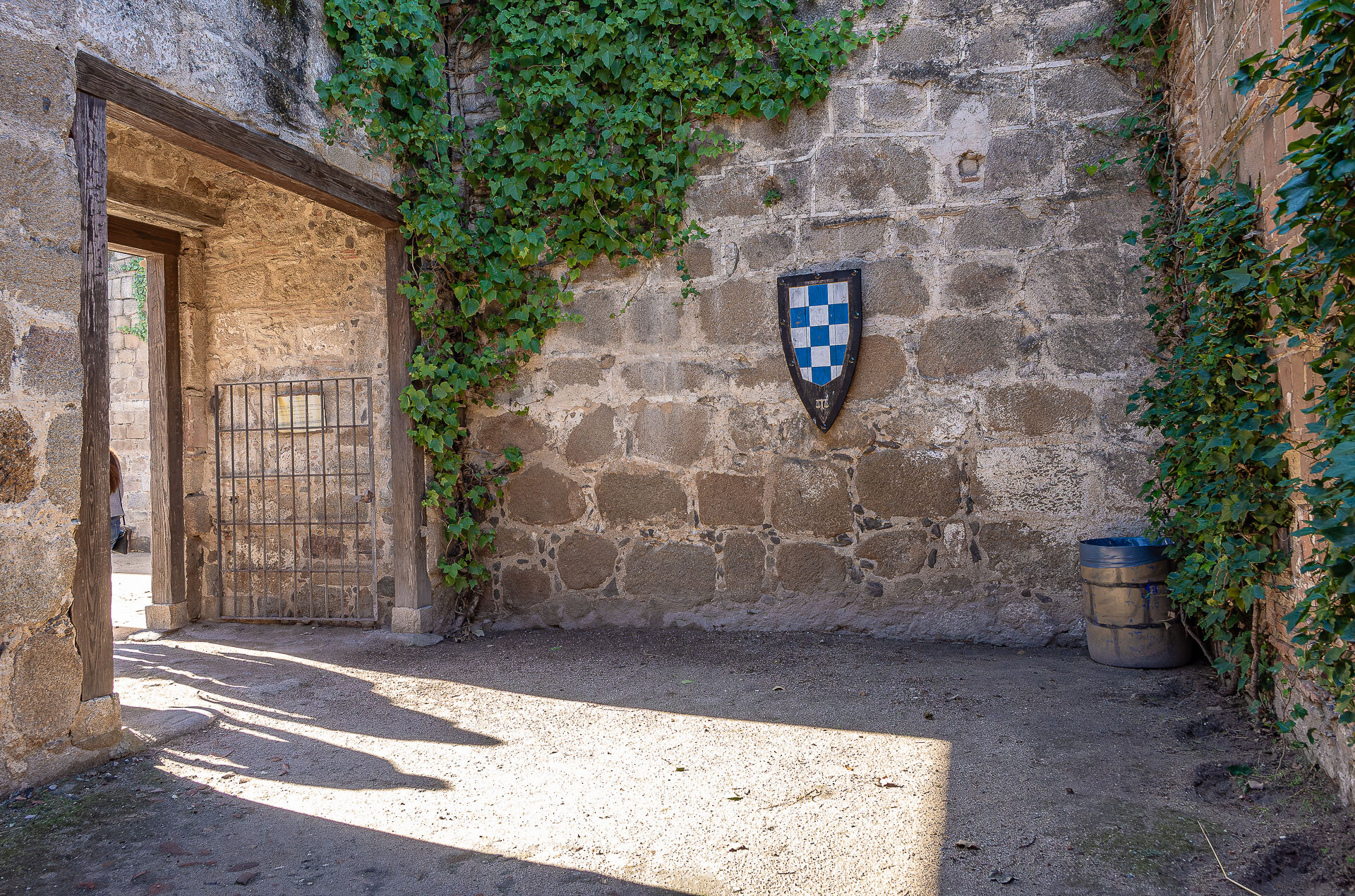 Castillo de Oropesa (46)