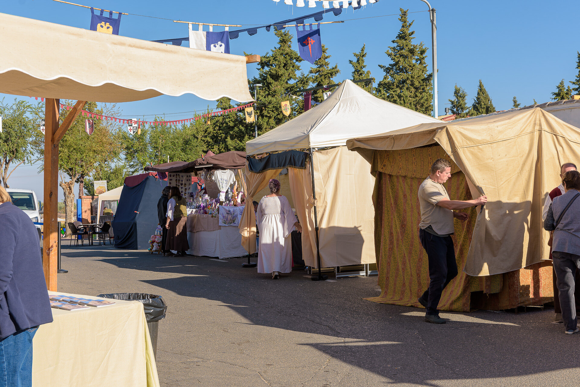 Castillo de Polán (3)